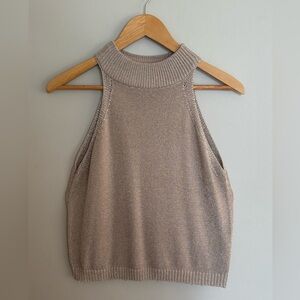 Dynamite Metallic Knit Top in Beige and Silver